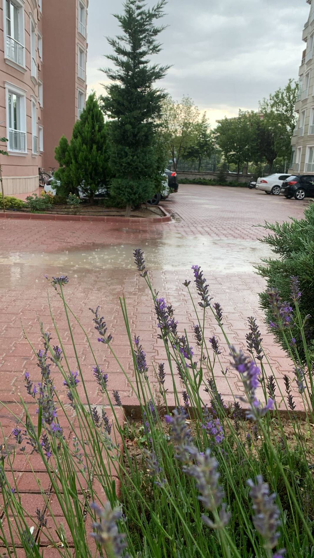 Konya’nın merkezine beklenen yağış düştü 10